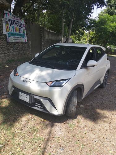 Byd Dolphin Mini 2025 - Foto 2