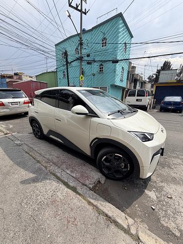 Byd Dolphin Mini 2026 for rent
