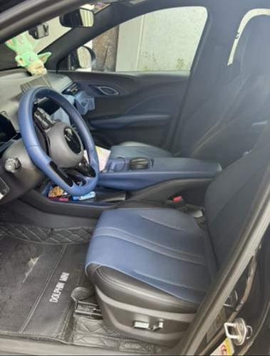 Byd Dolphin Mini 2026 - Foto 3