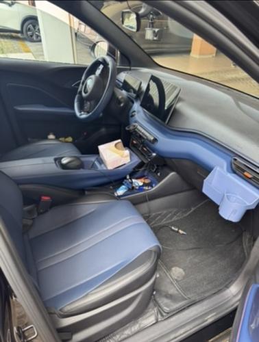 Byd Dolphin Mini 2026 - Foto 3